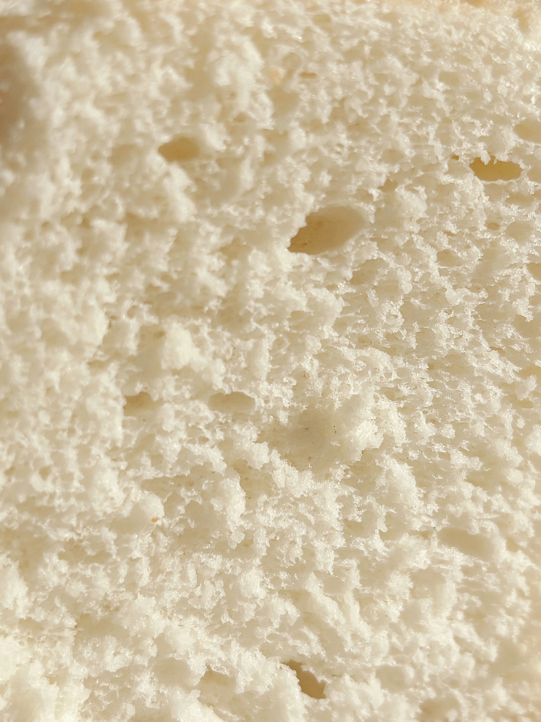 Seasonal Trifle Cake Cup