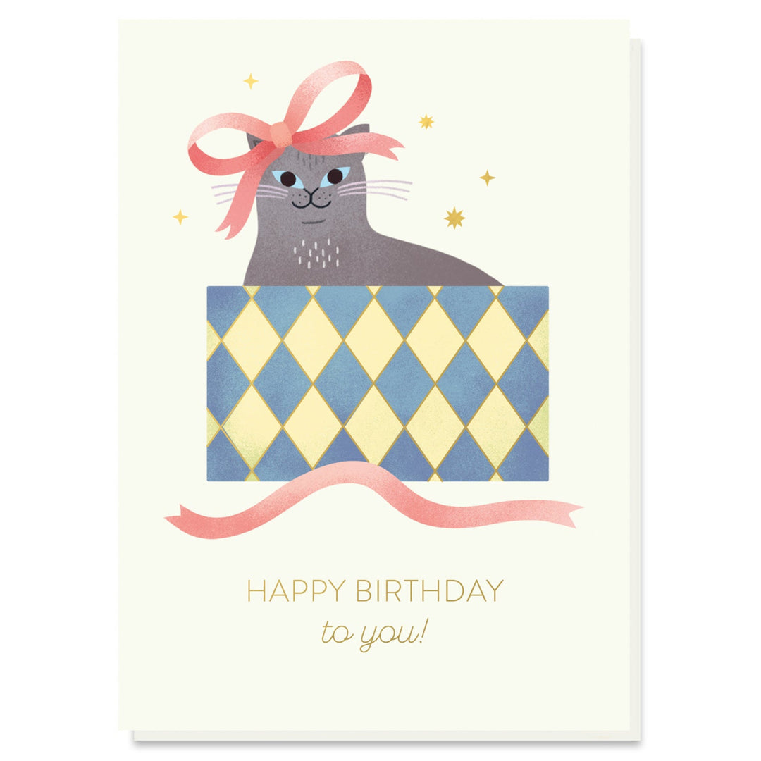 Stormy Knight // Cat in a Gift Box Birthday Card