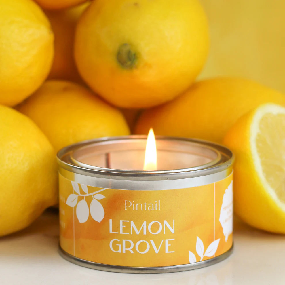 Pintail Candles // Lemon Grove