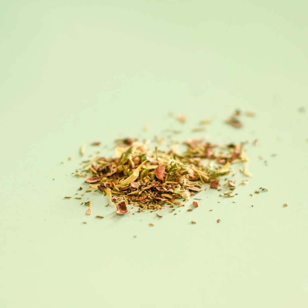 Floém // Balsam Fir & Cocoa